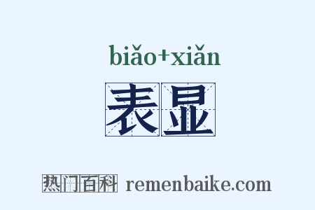 表显是什么意思的图片